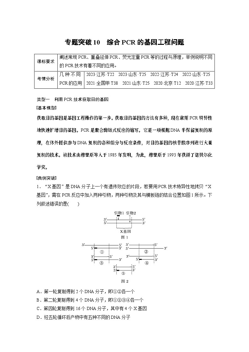 第十单元　专题突破10　综合PCR的基因工程问题-2025年高考生物大一轮复习课件01