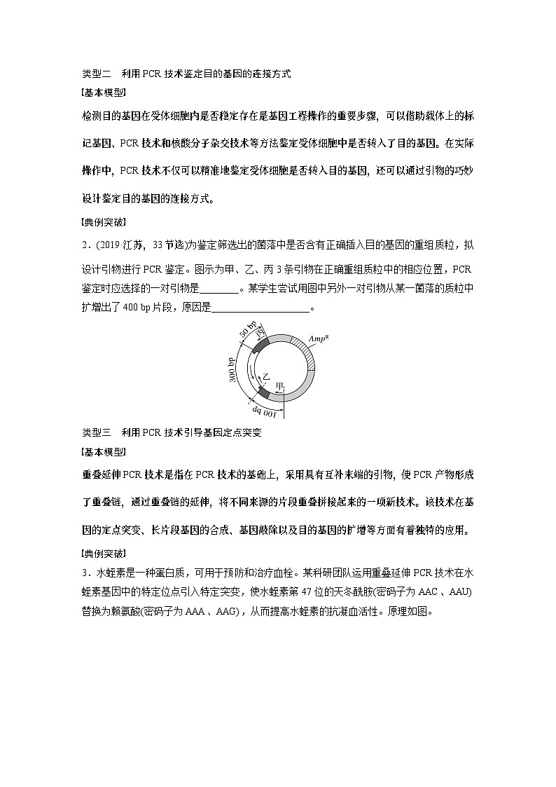 第十单元　专题突破10　综合PCR的基因工程问题-2025年高考生物大一轮复习课件02