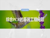 第十单元　专题突破10　综合PCR的基因工程问题-2025年高考生物大一轮复习课件