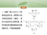 第十单元　专题突破10　综合PCR的基因工程问题-2025年高考生物大一轮复习课件