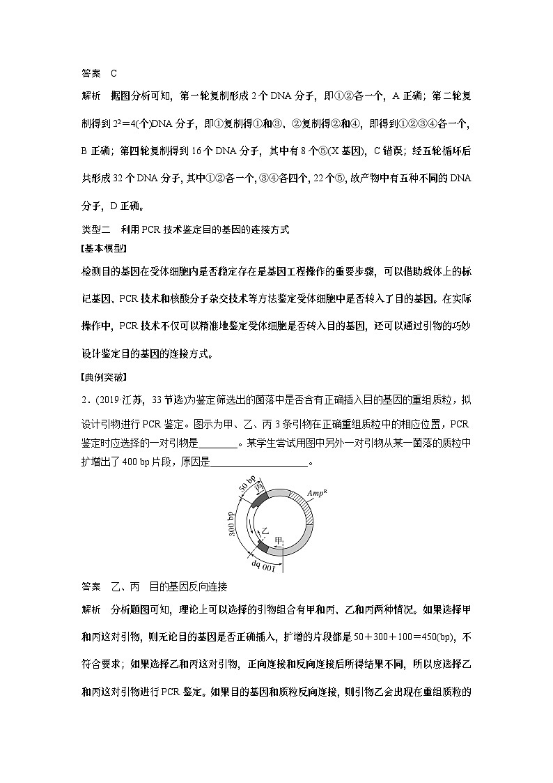 第十单元　专题突破10　综合PCR的基因工程问题-2025年高考生物大一轮复习课件02
