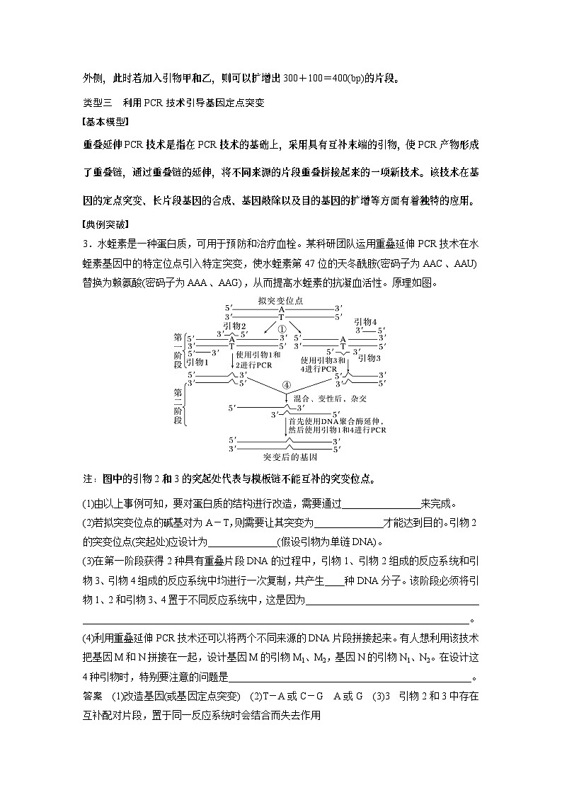 第十单元　专题突破10　综合PCR的基因工程问题-2025年高考生物大一轮复习课件03