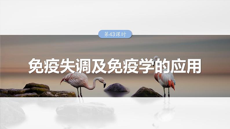 第八单元　第43课时　免疫失调及免疫学的应用-2025年高考生物大一轮复习课件01