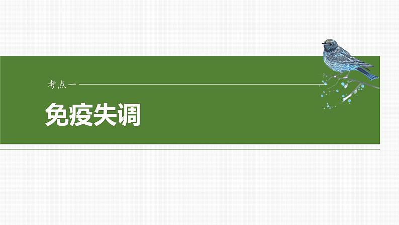 第八单元　第43课时　免疫失调及免疫学的应用-2025年高考生物大一轮复习课件04