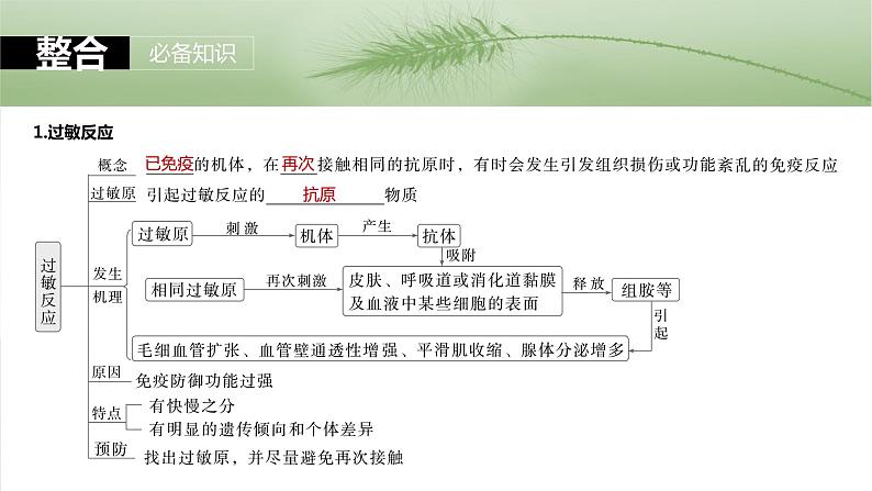 第八单元　第43课时　免疫失调及免疫学的应用-2025年高考生物大一轮复习课件05