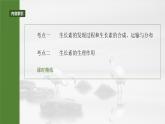 第八单元　第44课时　植物生长素-2025年高考生物大一轮复习课件