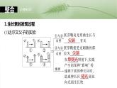 第八单元　第44课时　植物生长素-2025年高考生物大一轮复习课件