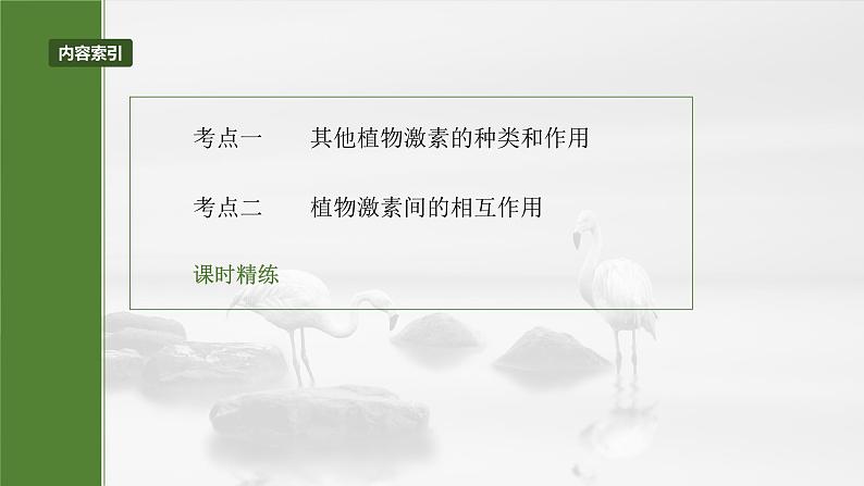 第八单元　第45课时　其他植物激素-2025年高考生物大一轮复习课件03