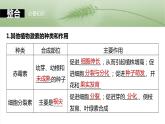 第八单元　第45课时　其他植物激素-2025年高考生物大一轮复习课件