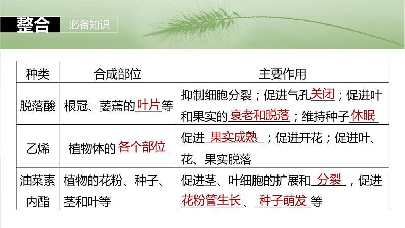 第八单元　第45课时　其他植物激素-2025年高考生物大一轮复习课件06