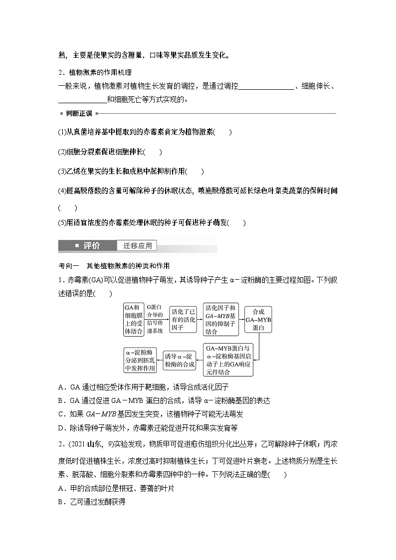 第八单元　第45课时　其他植物激素-2025年高考生物大一轮复习课件02