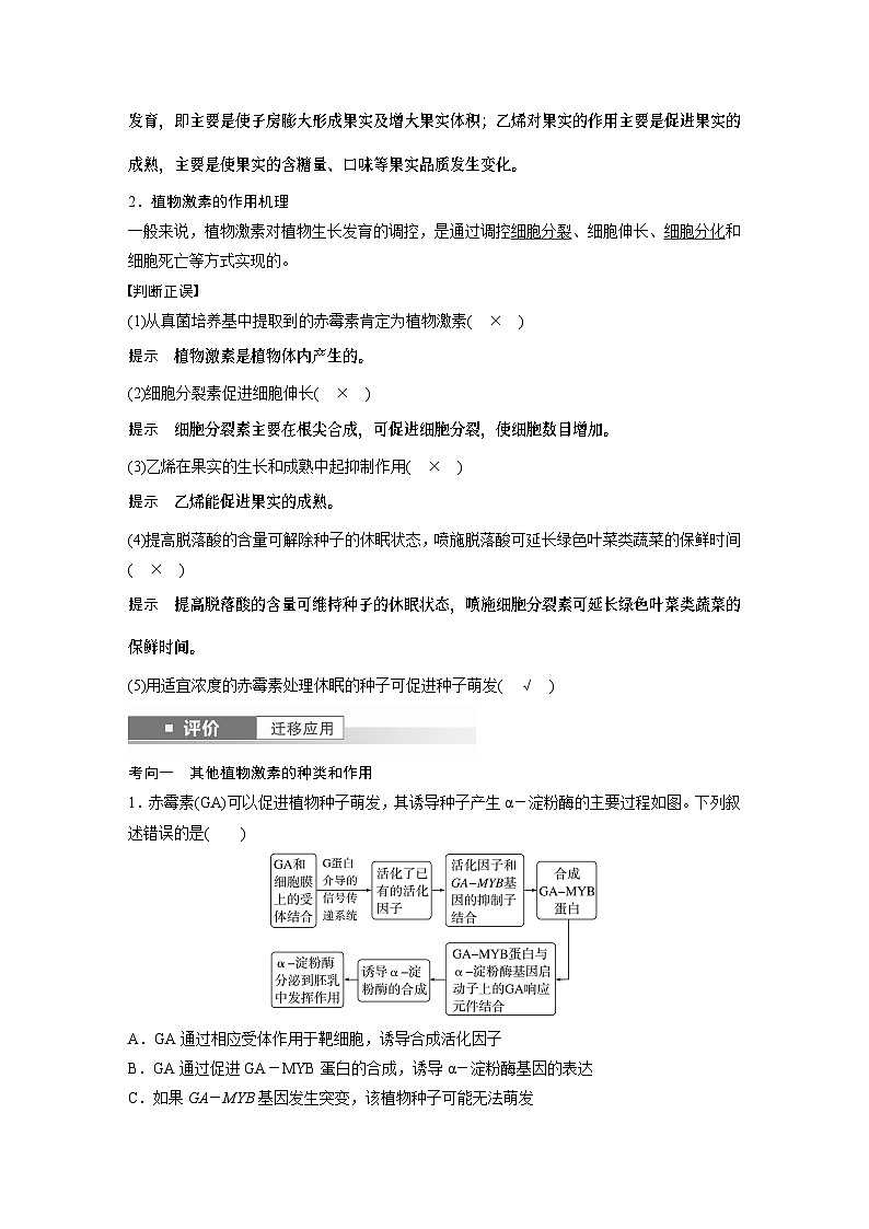 第八单元　第45课时　其他植物激素-2025年高考生物大一轮复习课件02