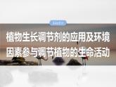 第八单元　第46课时　植物生长调节剂的应用及环境因素参与调节植物的生命活动-2025年高考生物大一轮复习课件