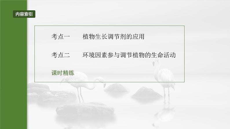 第八单元　第46课时　植物生长调节剂的应用及环境因素参与调节植物的生命活动-2025年高考生物大一轮复习课件03