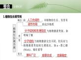 第八单元　第46课时　植物生长调节剂的应用及环境因素参与调节植物的生命活动-2025年高考生物大一轮复习课件