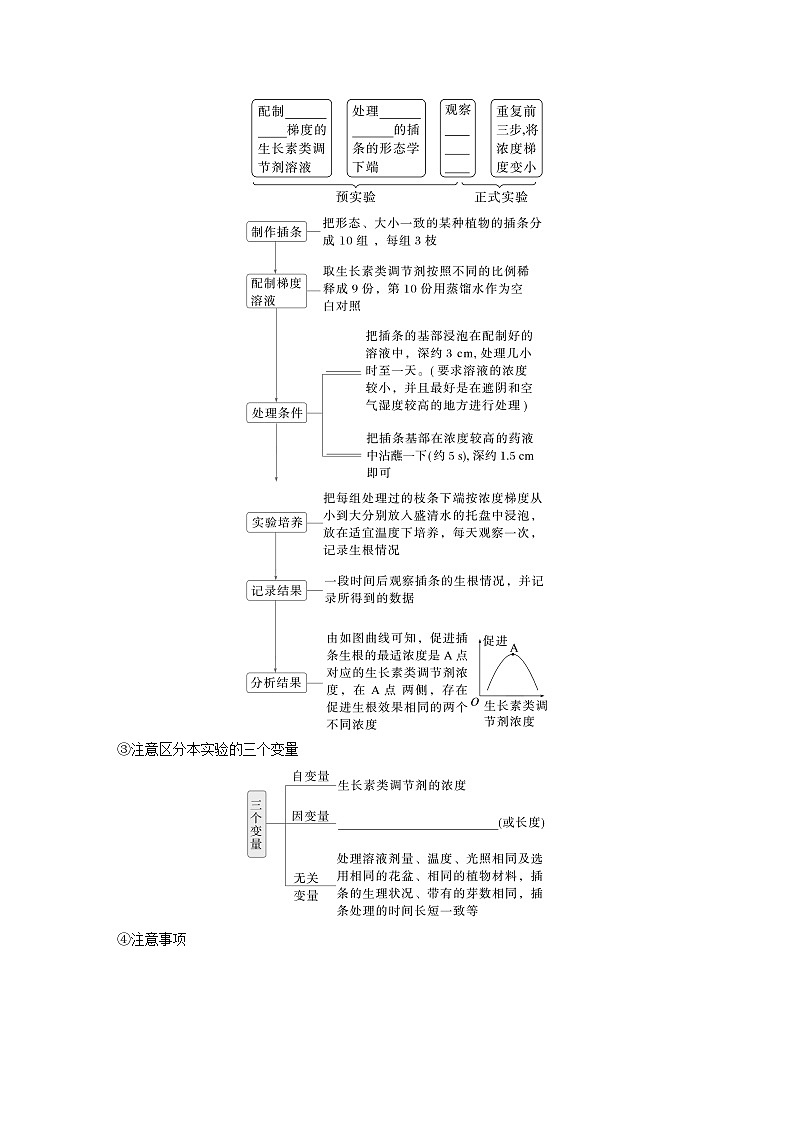 第八单元　第46课时　植物生长调节剂的应用及环境因素参与调节植物的生命活动-2025年高考生物大一轮复习课件03