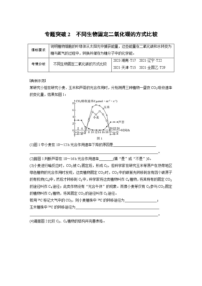 第三单元　专题突破2　不同生物固定二氧化碳的方式比较（学生版）第1页