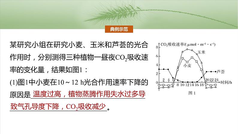 第三单元　专题突破2　不同生物固定二氧化碳的方式比较第3页