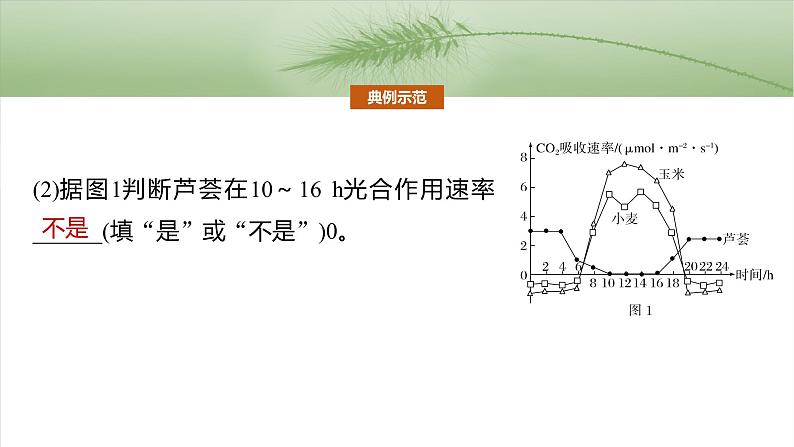 第三单元　专题突破2　不同生物固定二氧化碳的方式比较第4页