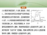 第三单元　专题突破2　不同生物固定二氧化碳的方式比较-2025年高考生物大一轮复习课件