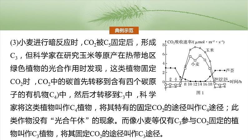 第三单元　专题突破2　不同生物固定二氧化碳的方式比较第5页