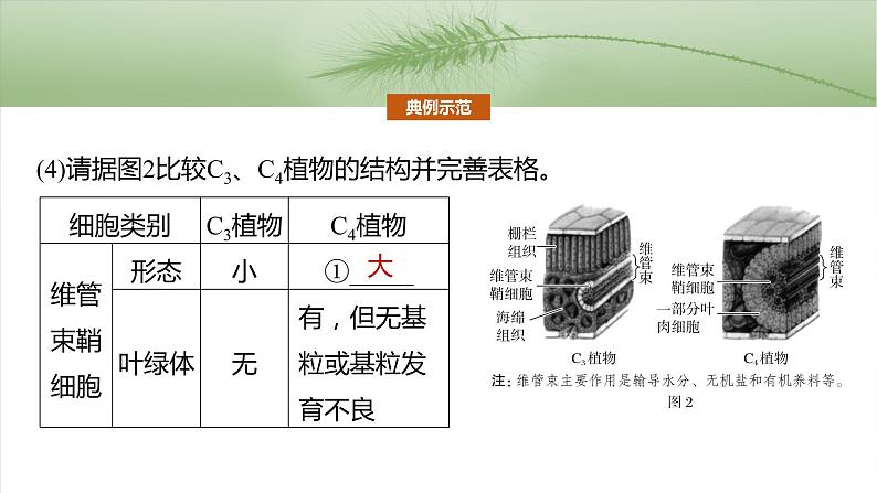 第三单元　专题突破2　不同生物固定二氧化碳的方式比较第7页