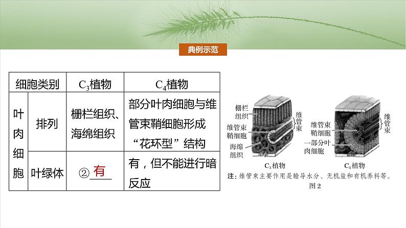 第三单元　专题突破2　不同生物固定二氧化碳的方式比较第8页