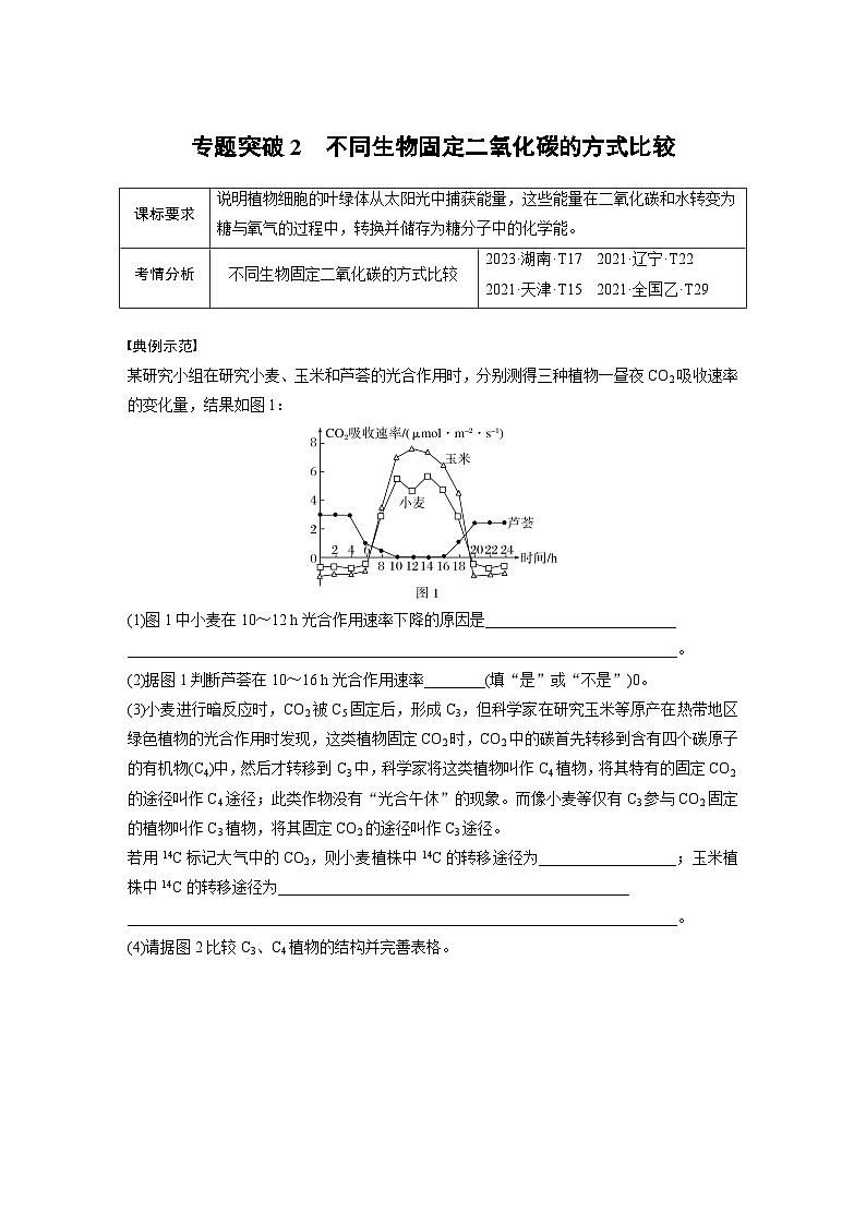 第三单元　专题突破2　不同生物固定二氧化碳的方式比较（教师版）第1页