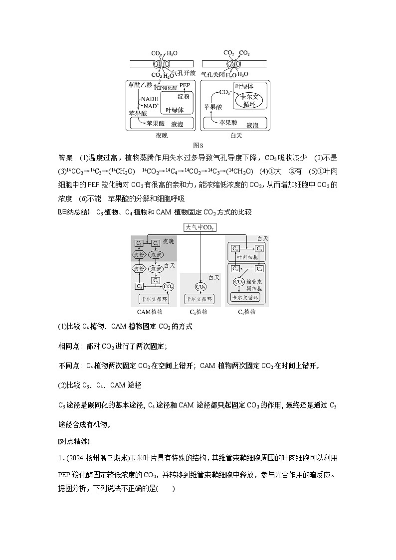 第三单元　专题突破2　不同生物固定二氧化碳的方式比较（教师版）第3页