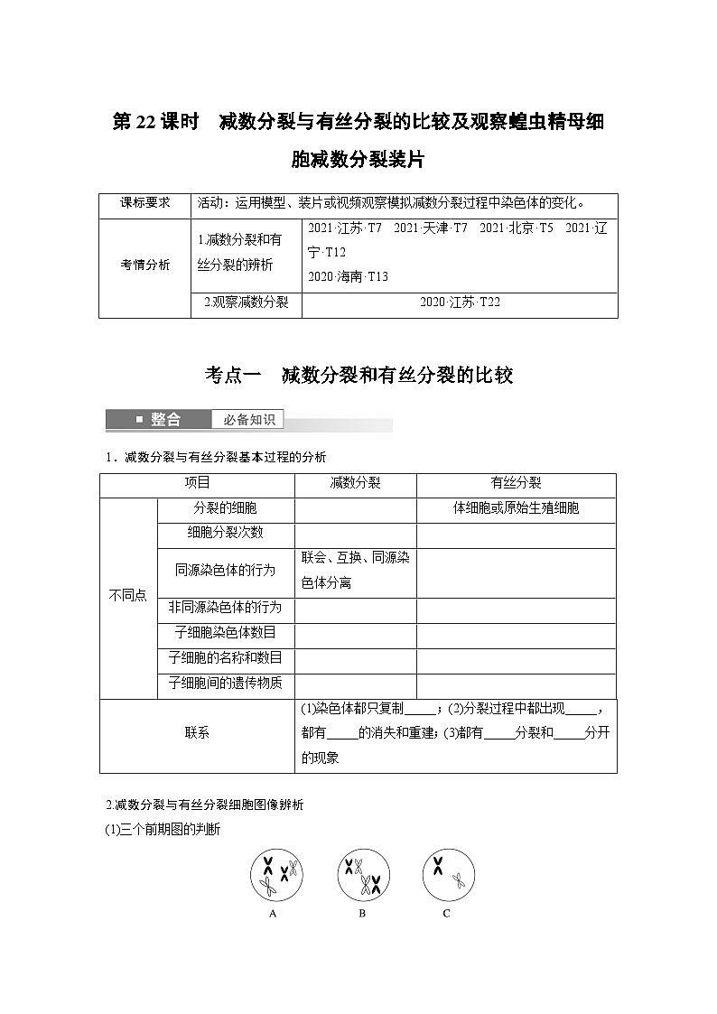 第四单元　第二十二课时　减数分裂与有丝分裂的比较及观察蝗虫精母细胞减数分裂装片-2025年高考生物大一轮复习课件01