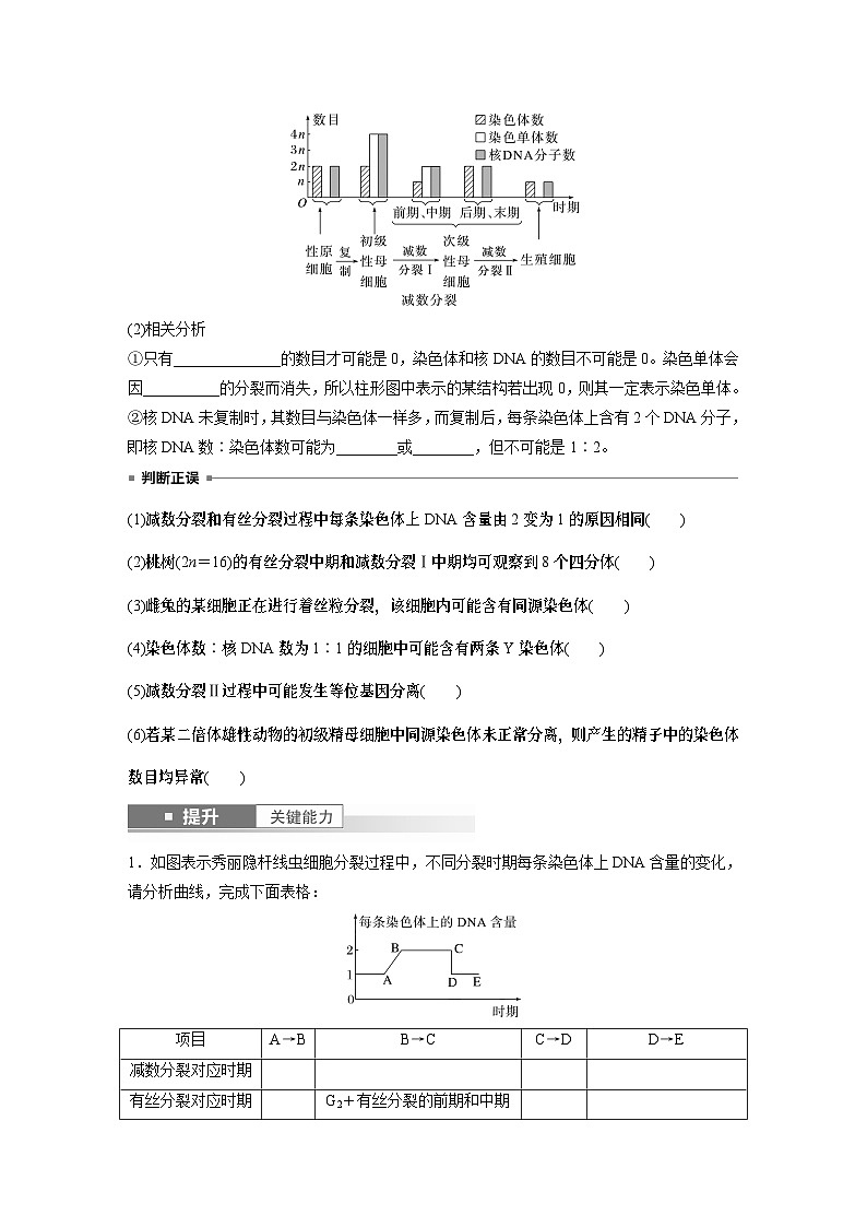 第四单元　第二十二课时　减数分裂与有丝分裂的比较及观察蝗虫精母细胞减数分裂装片-2025年高考生物大一轮复习课件03