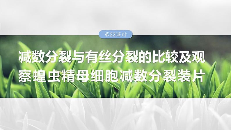 第四单元　第二十二课时　减数分裂与有丝分裂的比较及观察蝗虫精母细胞减数分裂装片-2025年高考生物大一轮复习课件01