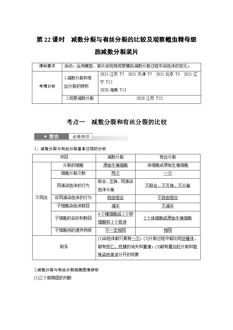 第四单元　第二十二课时　减数分裂与有丝分裂的比较及观察蝗虫精母细胞减数分裂装片-2025年高考生物大一轮复习课件01