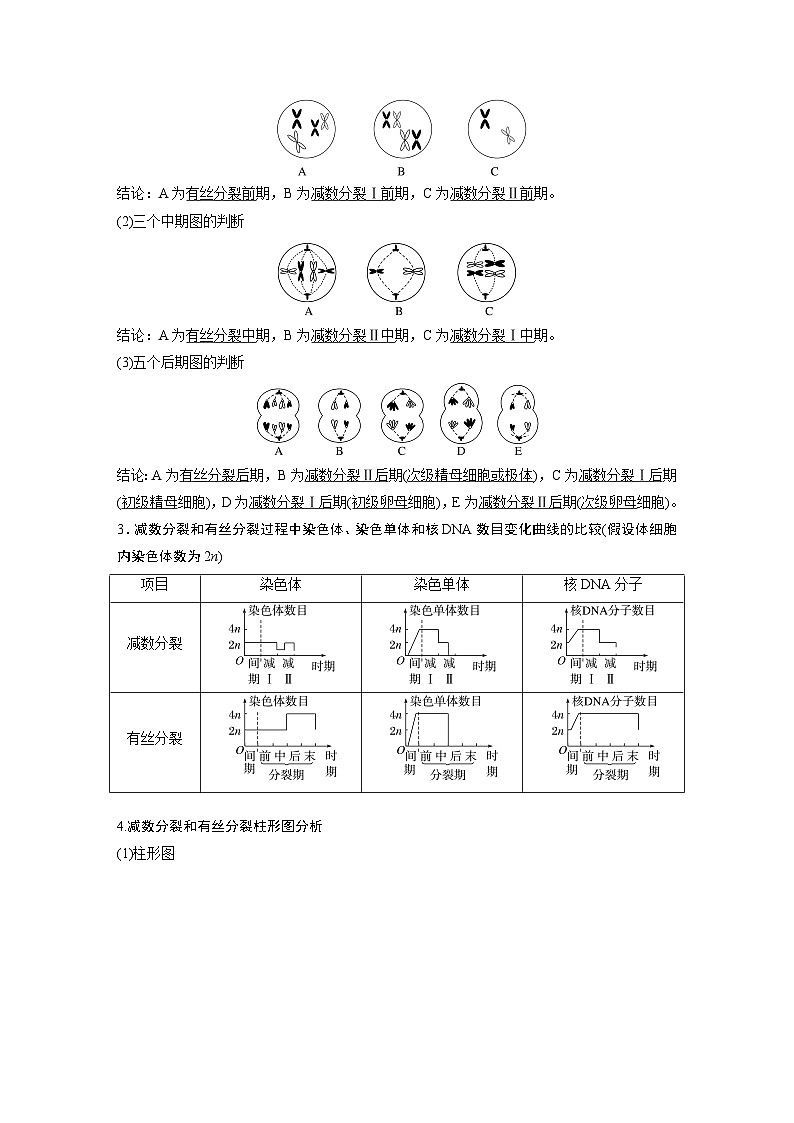 第四单元　第二十二课时　减数分裂与有丝分裂的比较及观察蝗虫精母细胞减数分裂装片-2025年高考生物大一轮复习课件02
