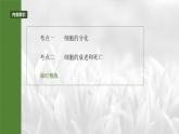第四单元　第二十三课时　细胞的分化、衰老和死亡-2025年高考生物大一轮复习课件