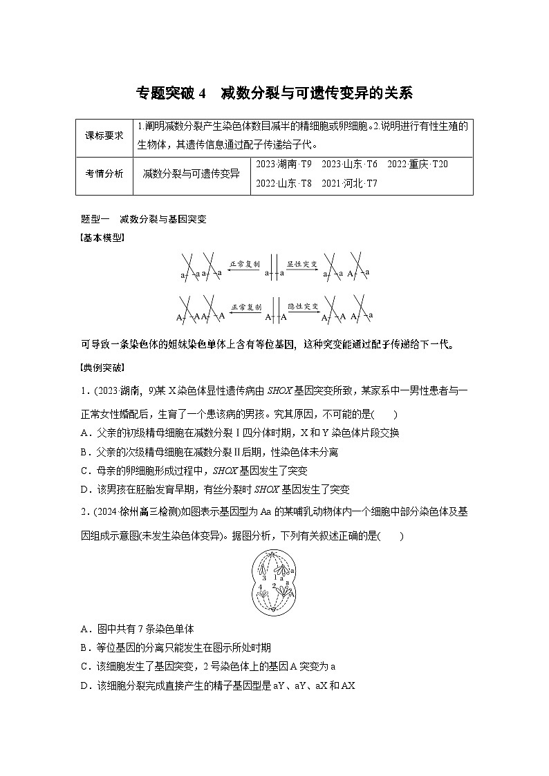 第四单元　专题突破4　减数分裂与可遗传变异的关系（学生版）第1页