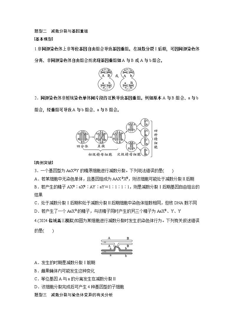 第四单元　专题突破4　减数分裂与可遗传变异的关系（学生版）第2页