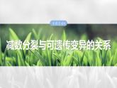 第四单元　专题突破4　减数分裂与可遗传变异的关系-2025年高考生物大一轮复习课件