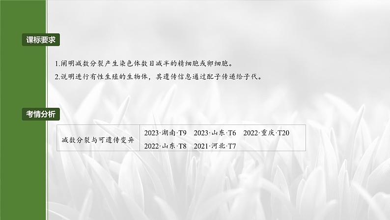 第四单元　专题突破4　减数分裂与可遗传变异的关系-2025年高考生物大一轮复习课件02