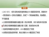 第四单元　专题突破4　减数分裂与可遗传变异的关系-2025年高考生物大一轮复习课件
