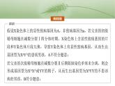 第四单元　专题突破4　减数分裂与可遗传变异的关系-2025年高考生物大一轮复习课件