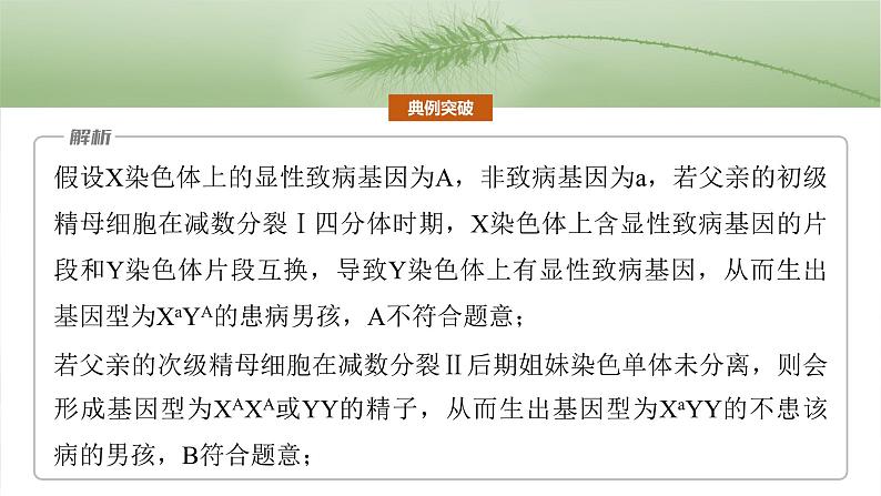 第四单元　专题突破4　减数分裂与可遗传变异的关系-2025年高考生物大一轮复习课件05