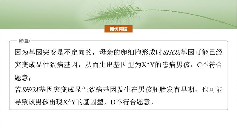 第四单元　专题突破4　减数分裂与可遗传变异的关系-2025年高考生物大一轮复习课件06