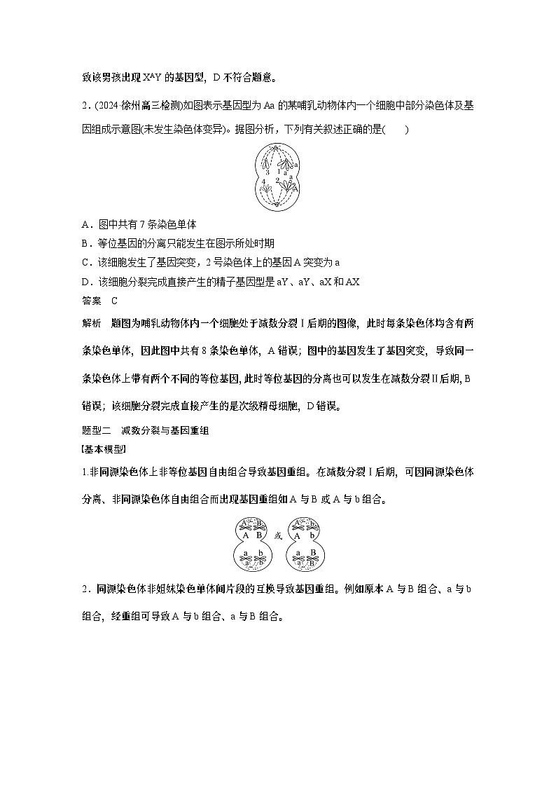 第四单元　专题突破4　减数分裂与可遗传变异的关系（教师版）第2页