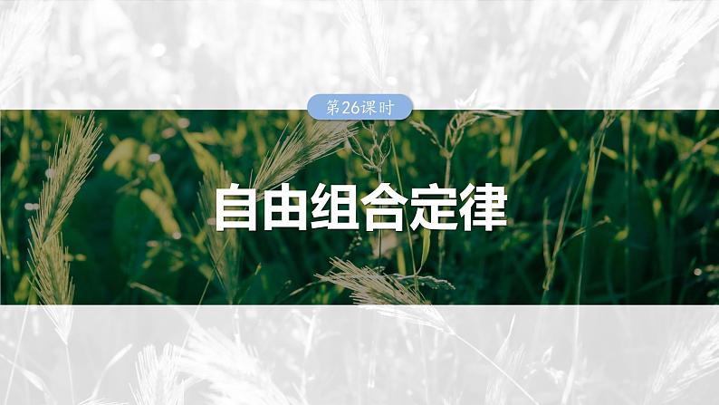 第五单元　第26课时　自由组合定律第1页