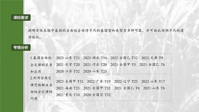 第五单元　第26课时　自由组合定律第2页