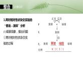 第五单元　第二十六课时　自由组合定律-2025年高考生物大一轮复习课件