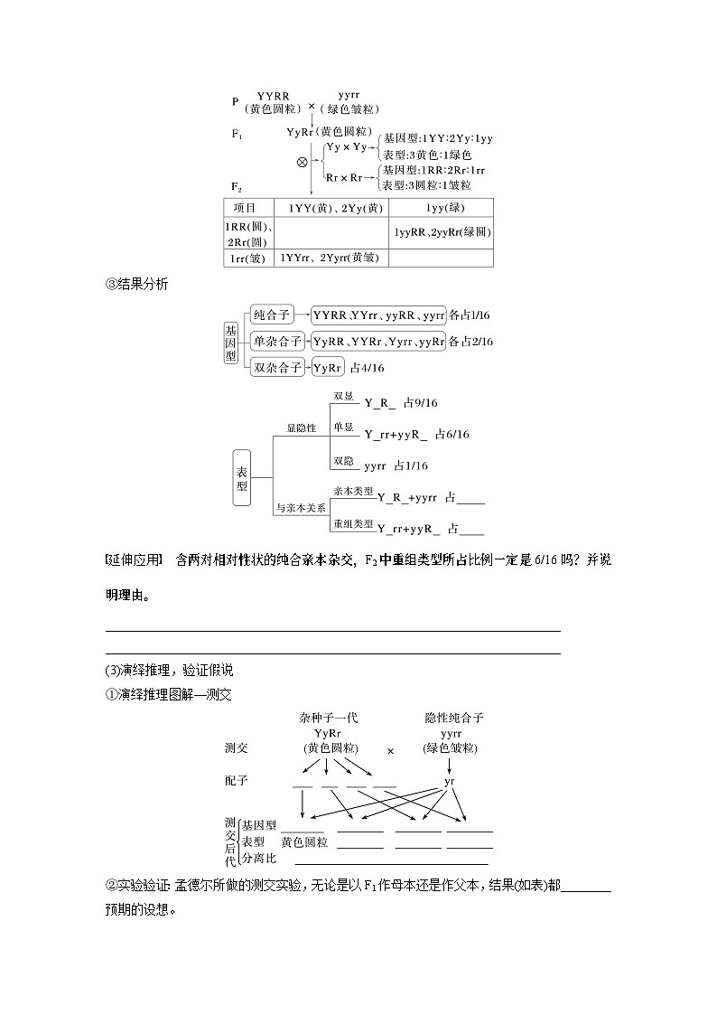 第五单元　第26课时　自由组合定律（学生版）第3页