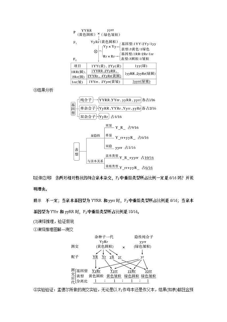 第五单元　第26课时　自由组合定律（教师版）第3页