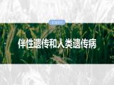 第五单元　第二十八课时　伴性遗传和人类遗传病-2025年高考生物大一轮复习课件